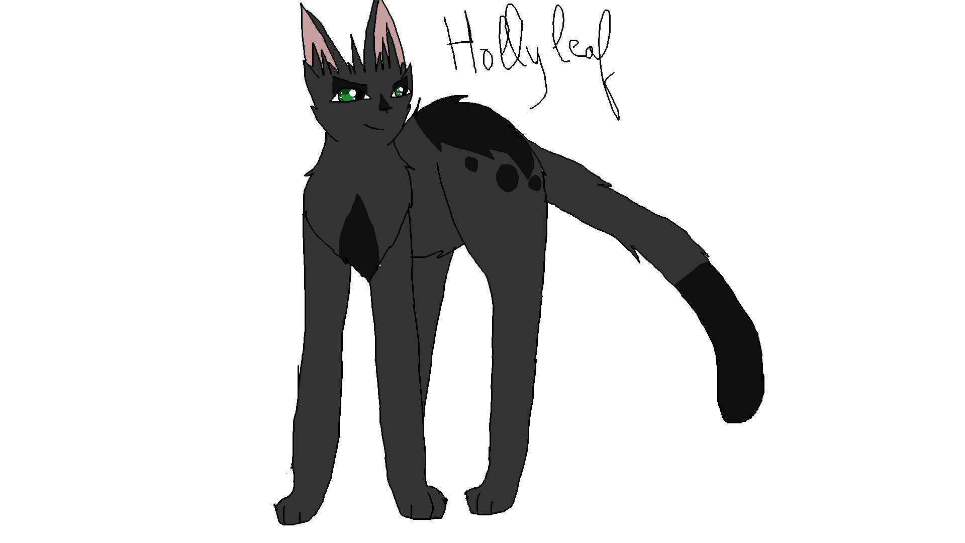 Warriors Designs 13 Hollyleaf Map Part Warrior Cats Amino Amino