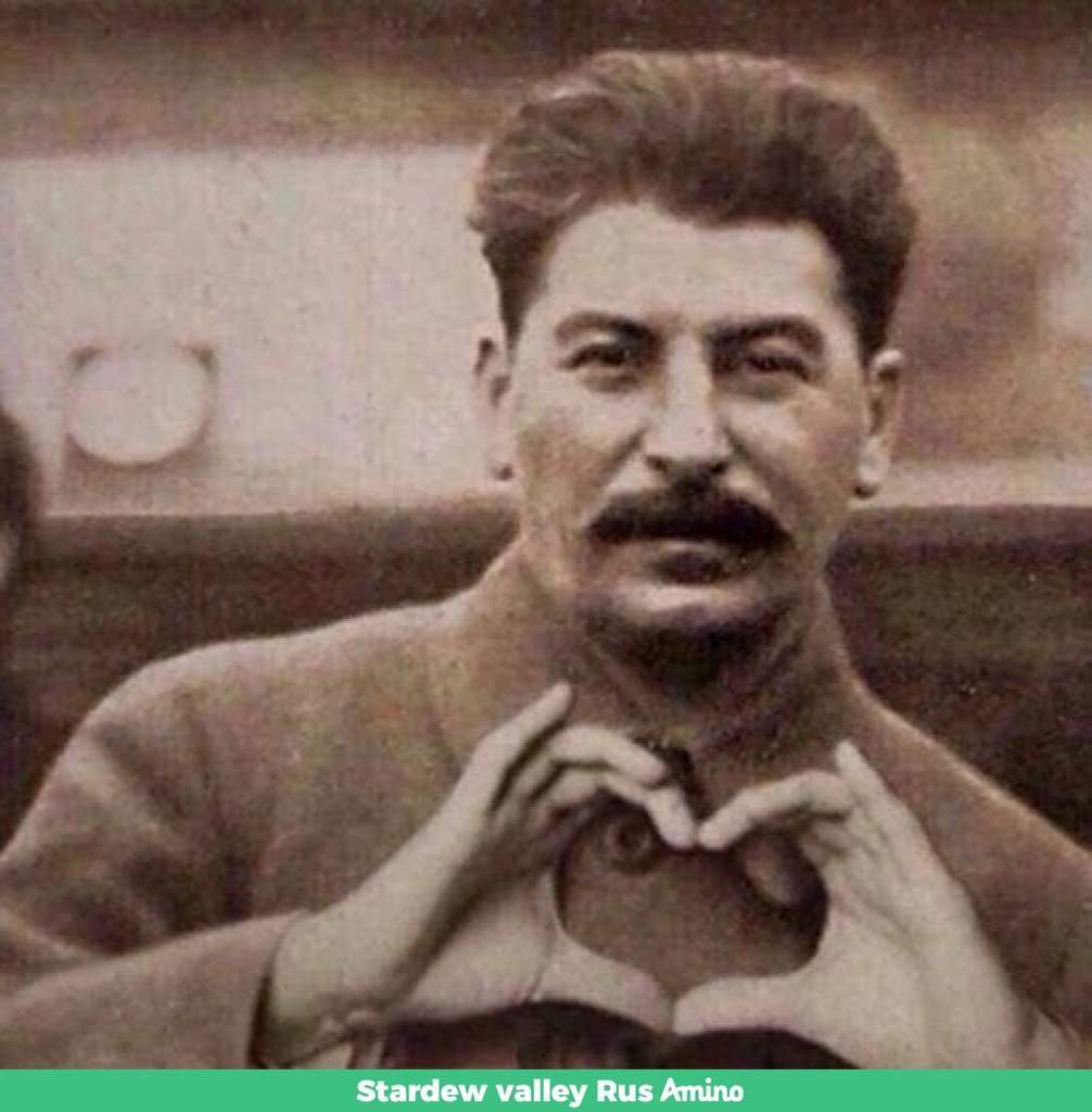 Сталин Фото Приколы