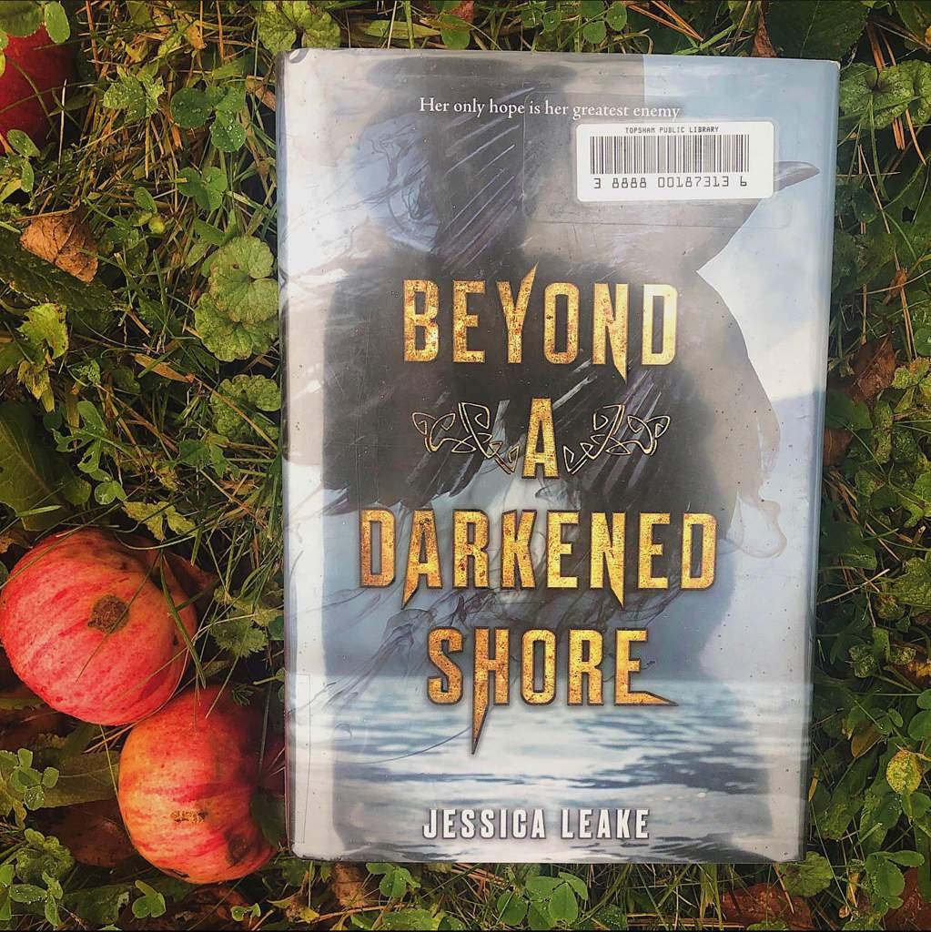 Beyond a Darkened Shore by Jessica Leake Beyond a Darkened Shore by Jessica Leake