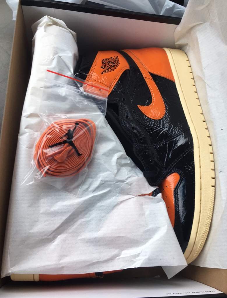 shattered backboard 3.0 size 8