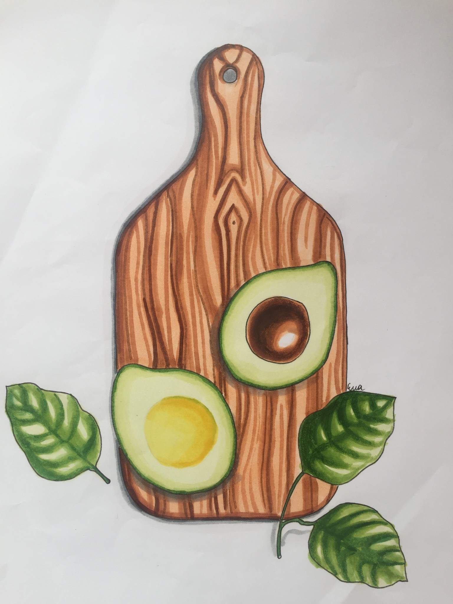 Авокадо маркерами