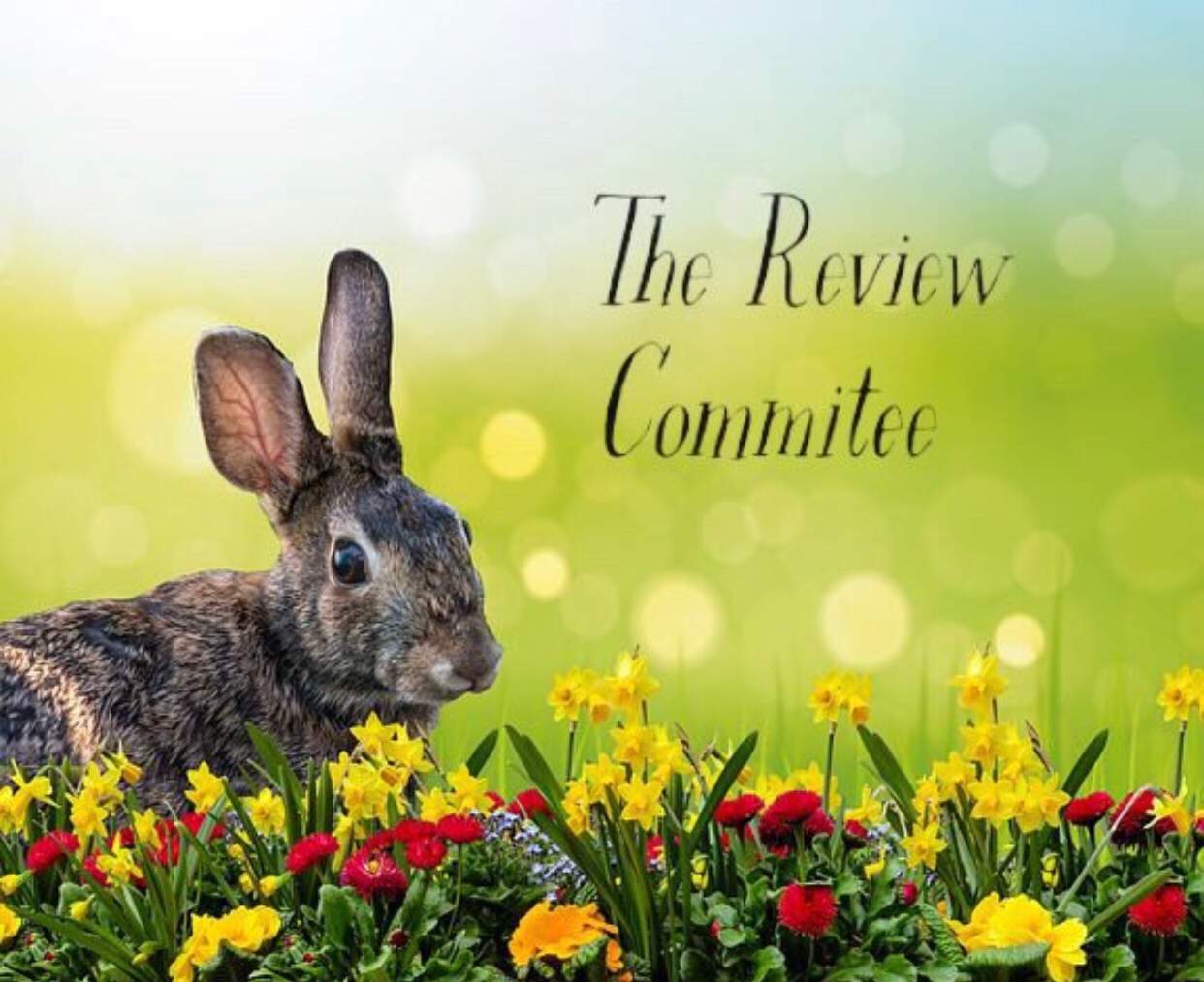 review-team-wiki-wiki-the-bunnies-and-rabbits-amino-amino