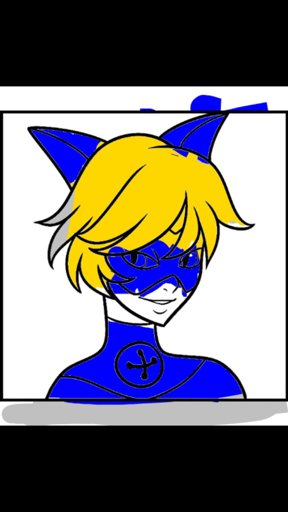 amino-cat noir-e790dd36