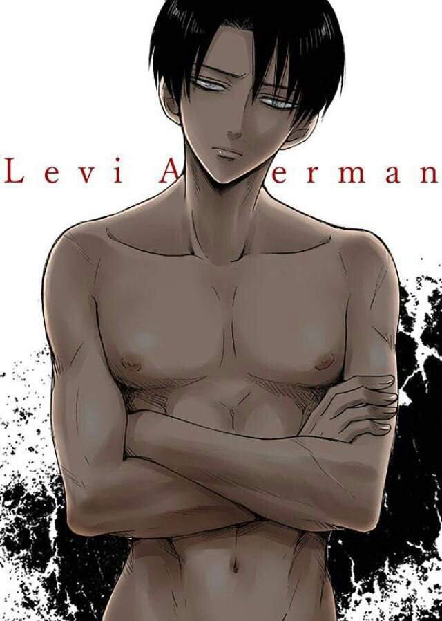 Levi Ackerman Anime Amino.