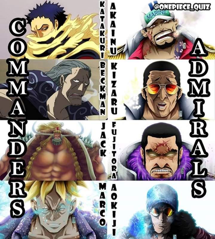 If The Fight Who Wins Commanders Vs Admirals One Piece Amino