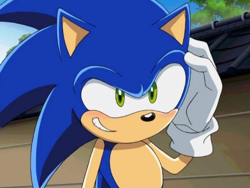 🌭 Sonic the Hedgehog Wiki Anime Amino.