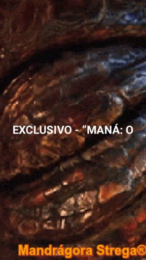 amino-𖤐MANDRÁGORA - OFF 𖤐-37de57a2