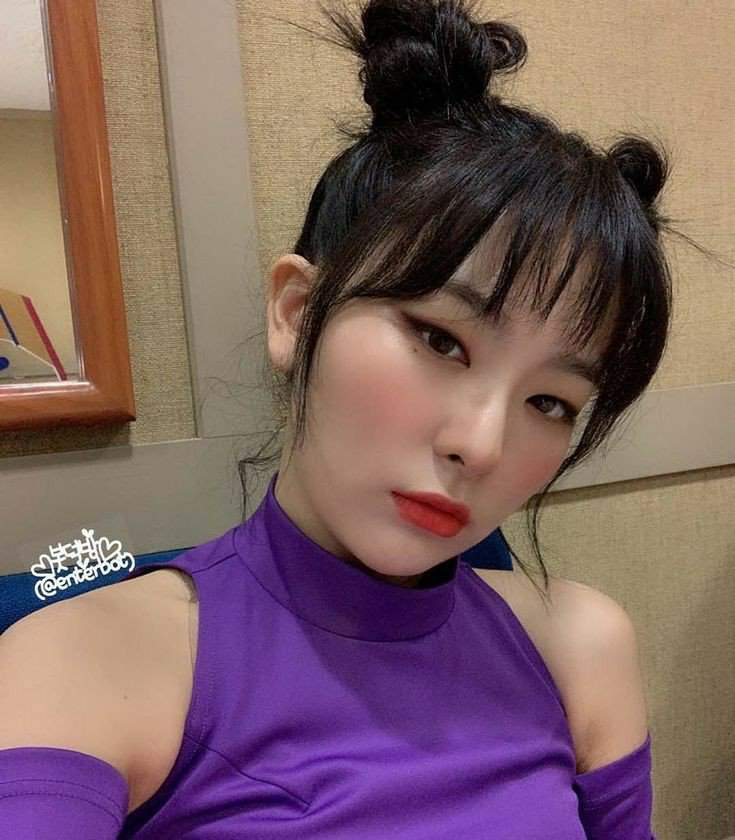 Seulgi Wiki 𝘿𝙋𝙄𝙎 Amino