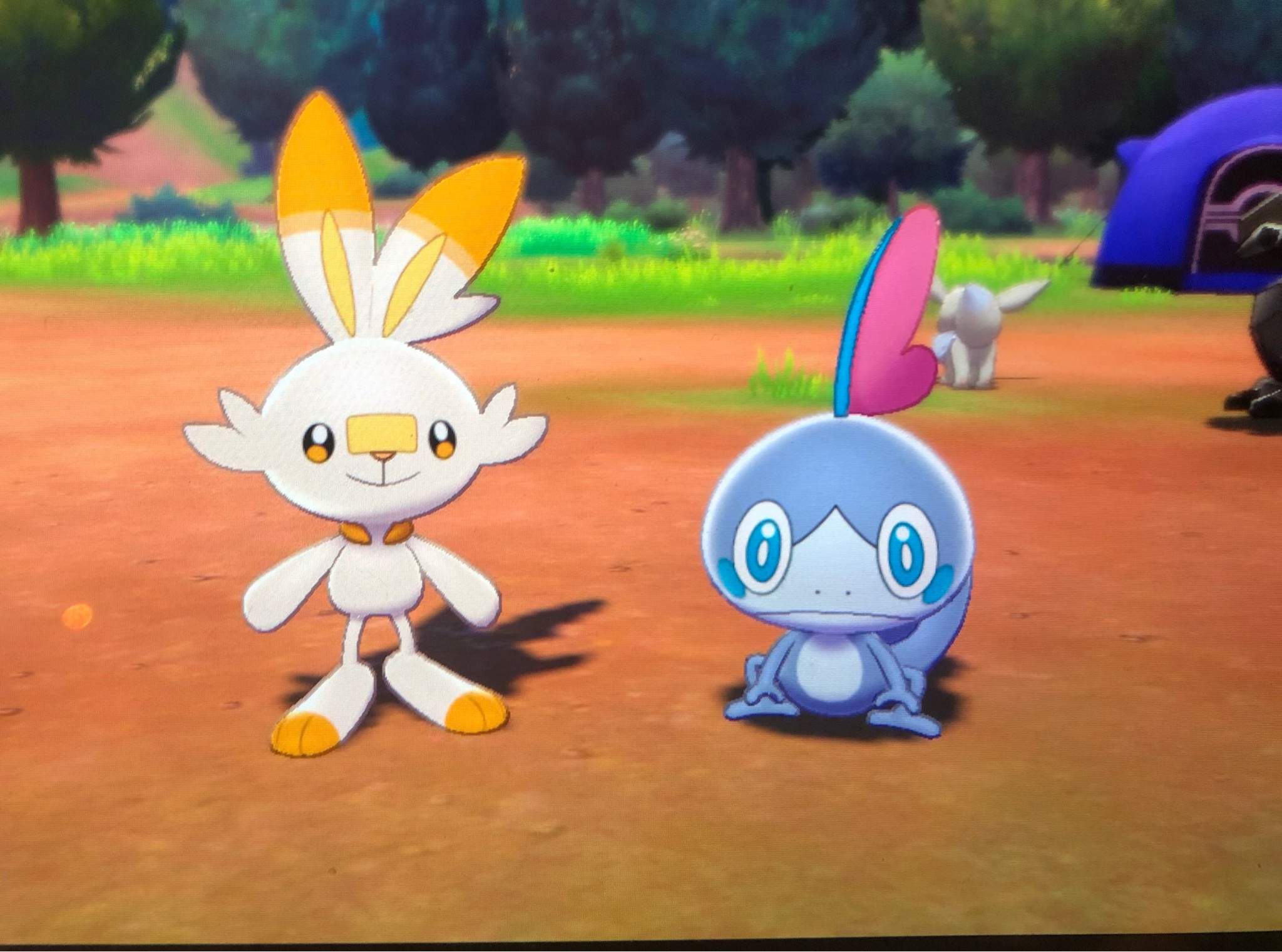 Shiny Scorbunny 854 Eggs Pokémon Sword And Shield ™ Amino 