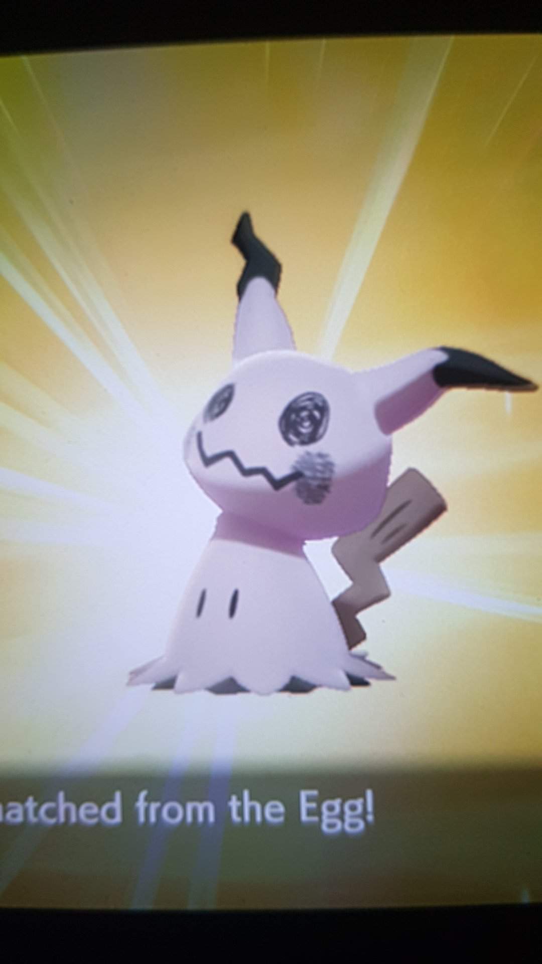 Hatched A Shiny Mimikyu Pokemon Amino