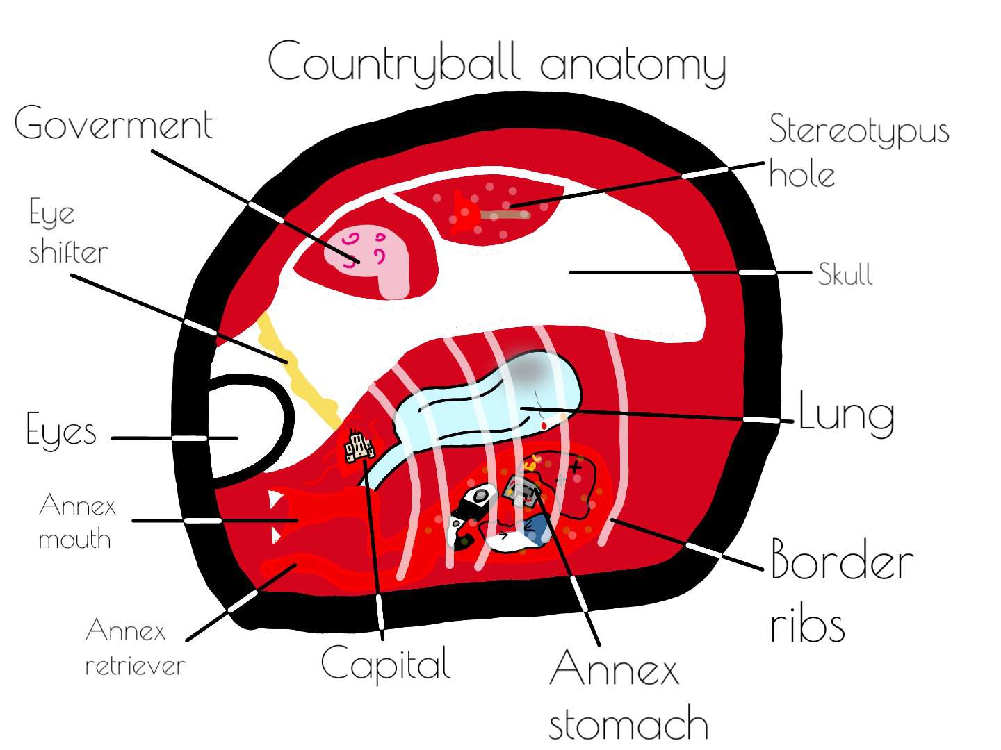 Countryball Anatomy Polandball Amino