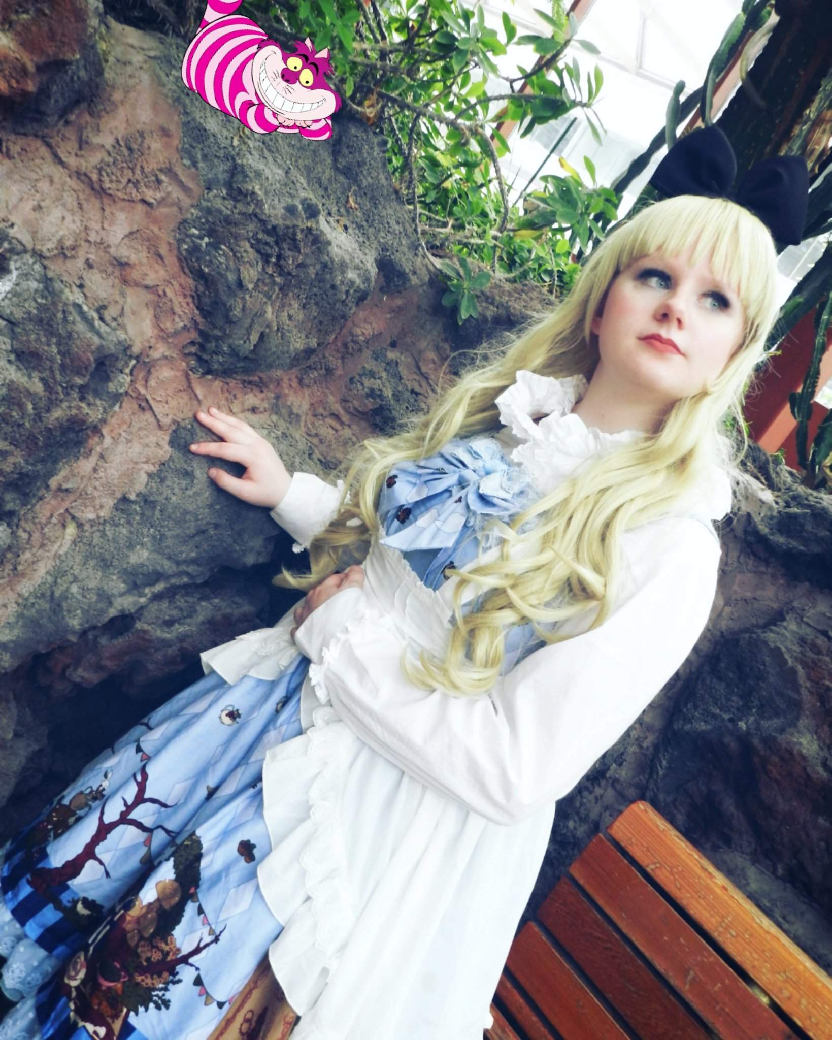 Alice In Wonderland Cosplay Amino