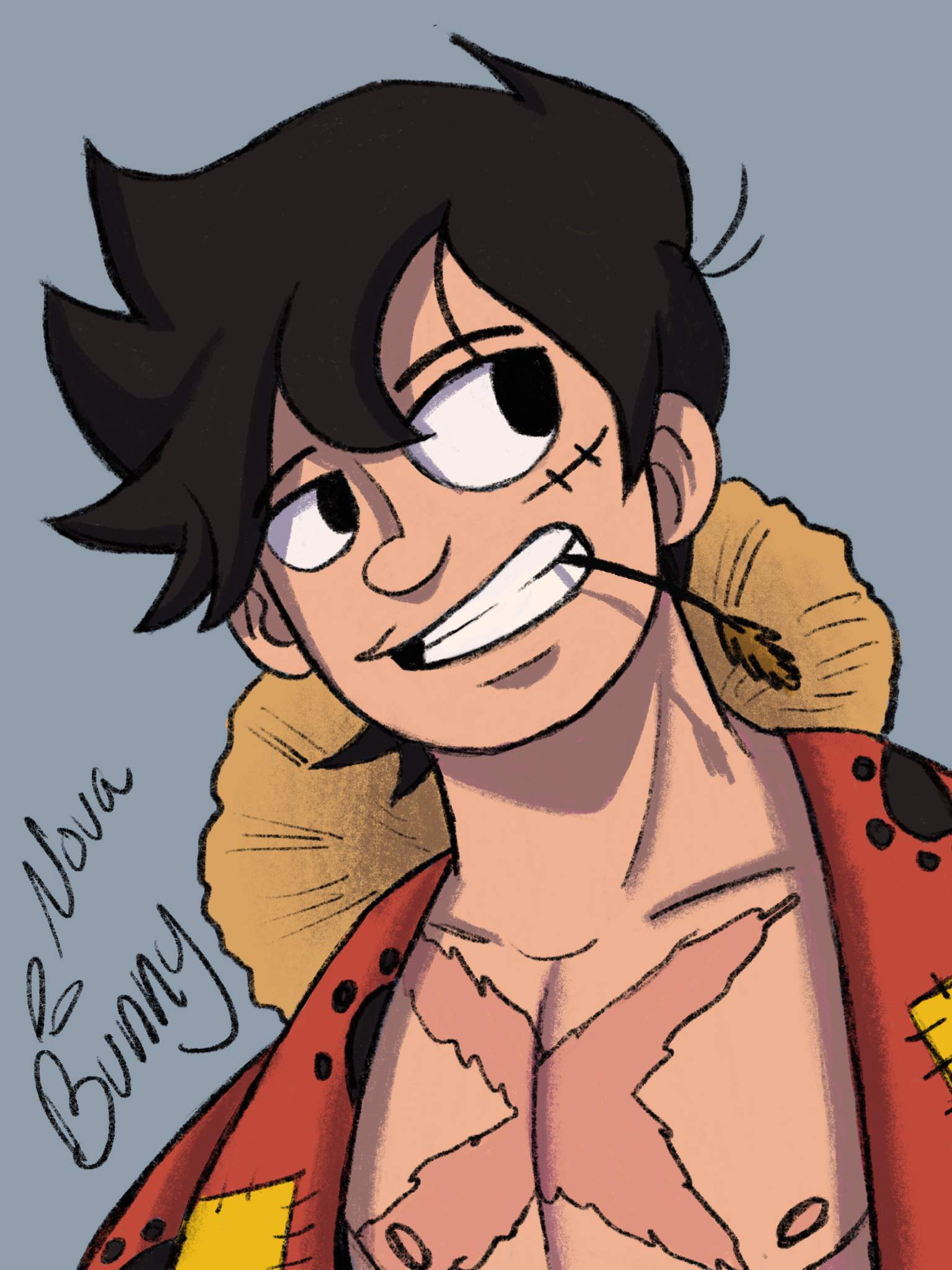 glm wano luffy