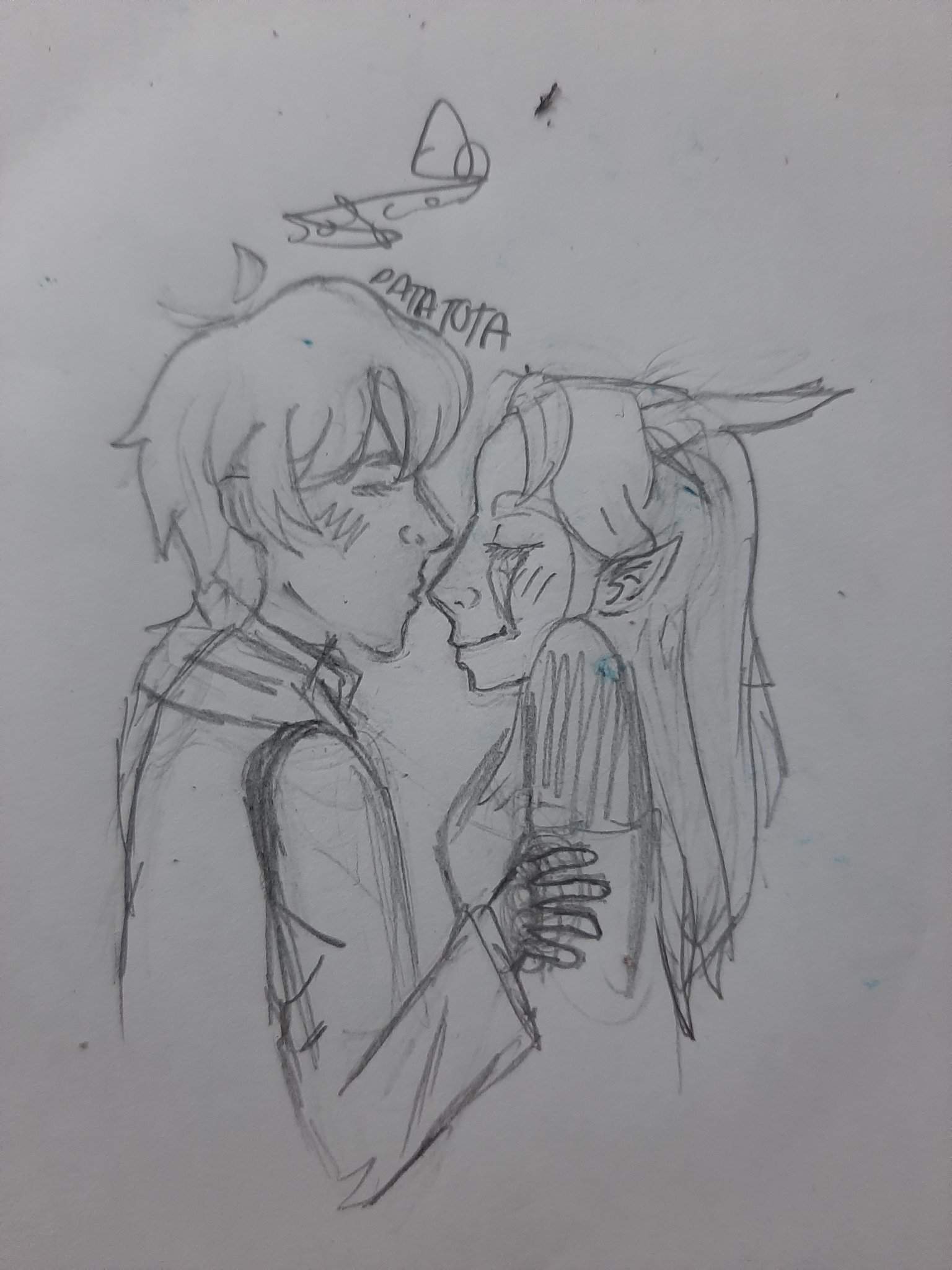 Callum X Rayla ♡♡ | ·The Dragon Prince· Amino