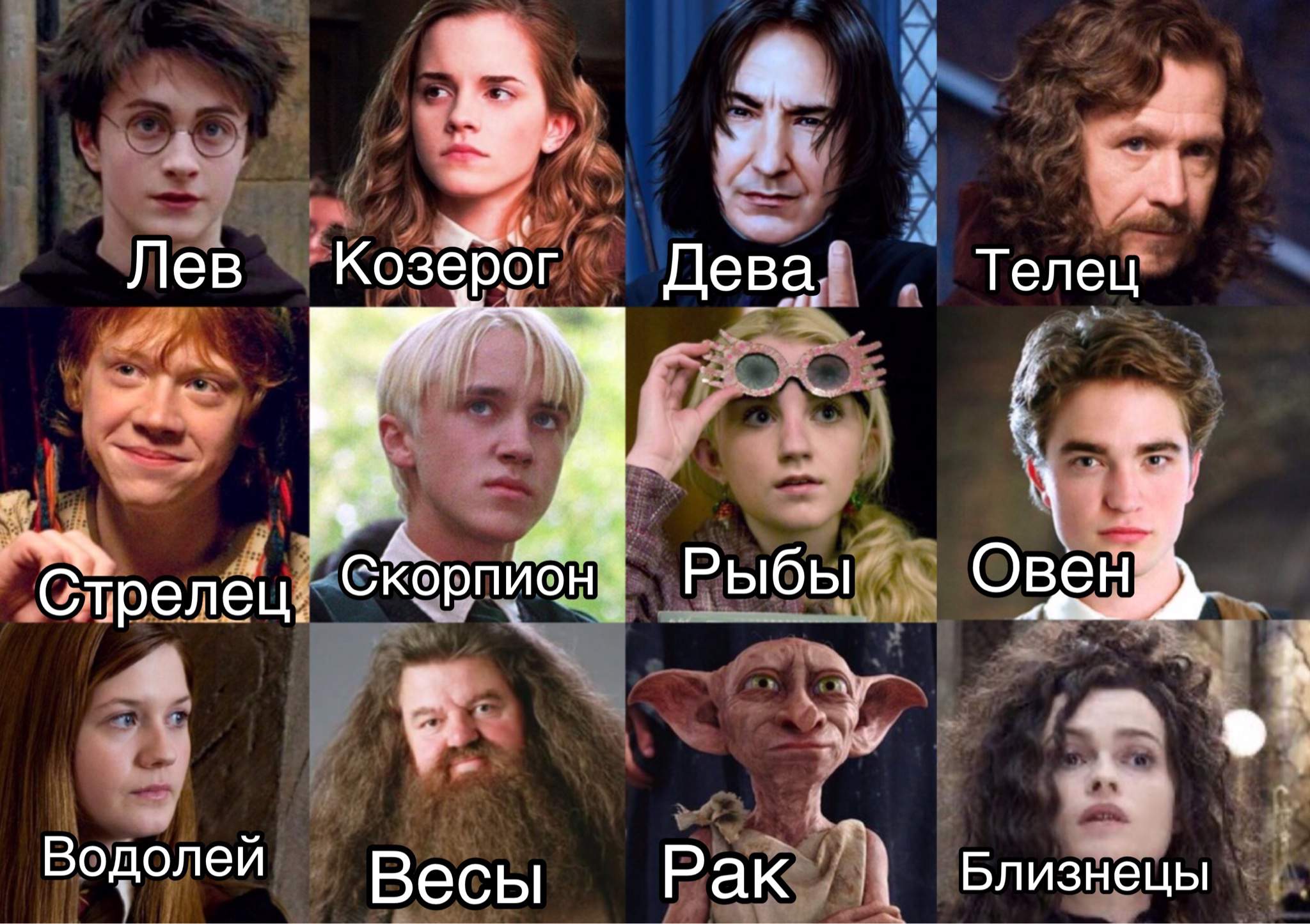 Персонажи Гарри Поттера по знакам зодиака