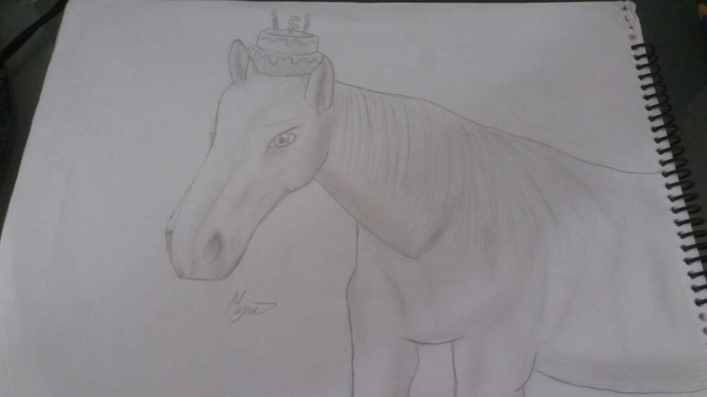 El caballo se llama viernes Ocs Original Character Amino El caballo se llama viernes Ocs Original Character Amino