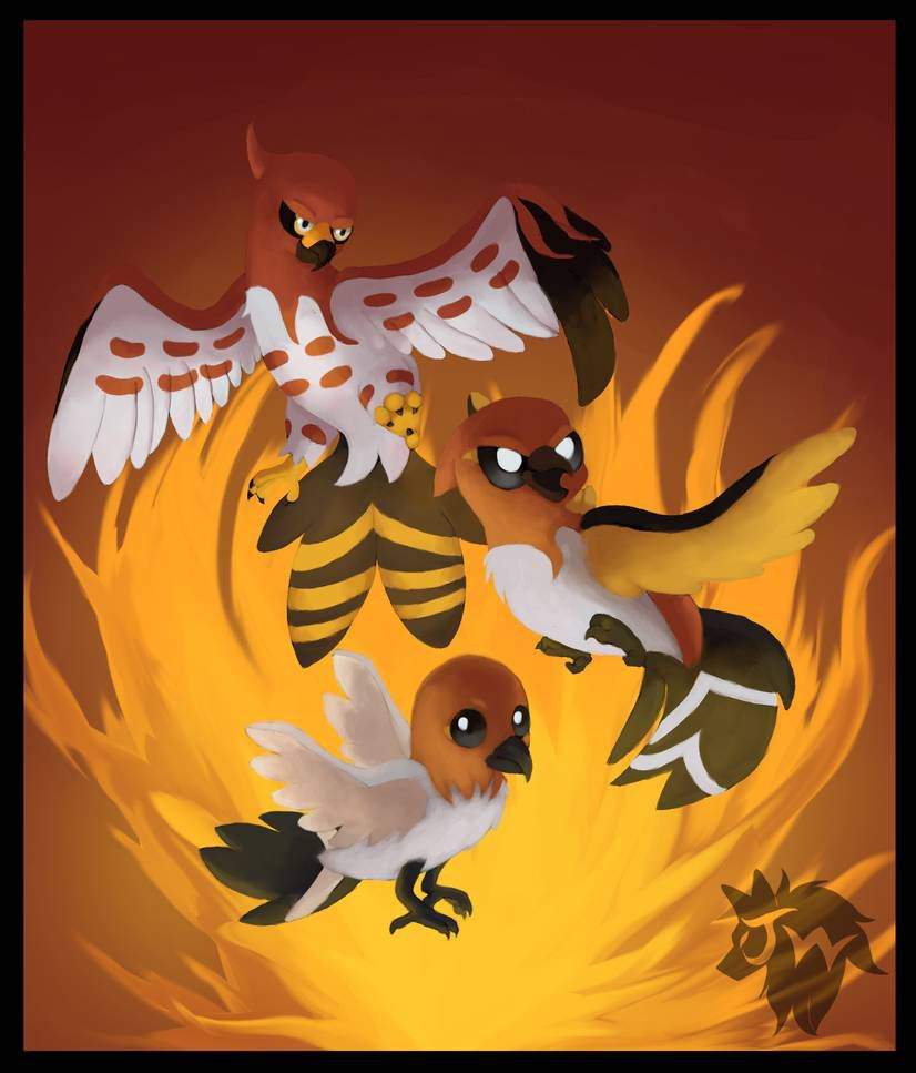 Fletchling evolution Pokémon Amino