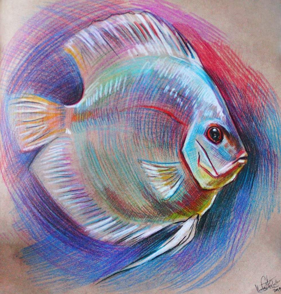 Рыбка цветными карандашами