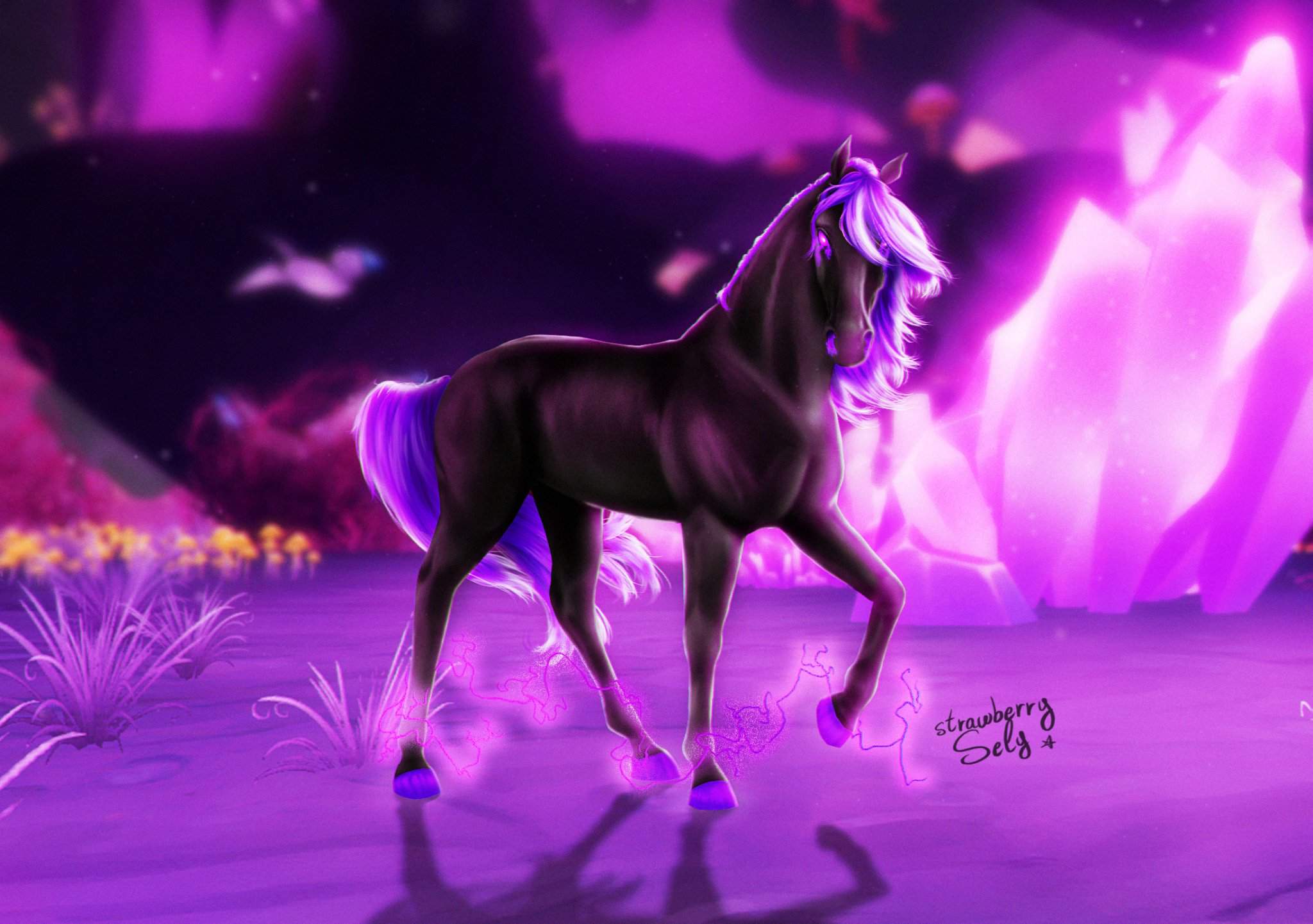 King of Pandoria | Star Stable Online Amino