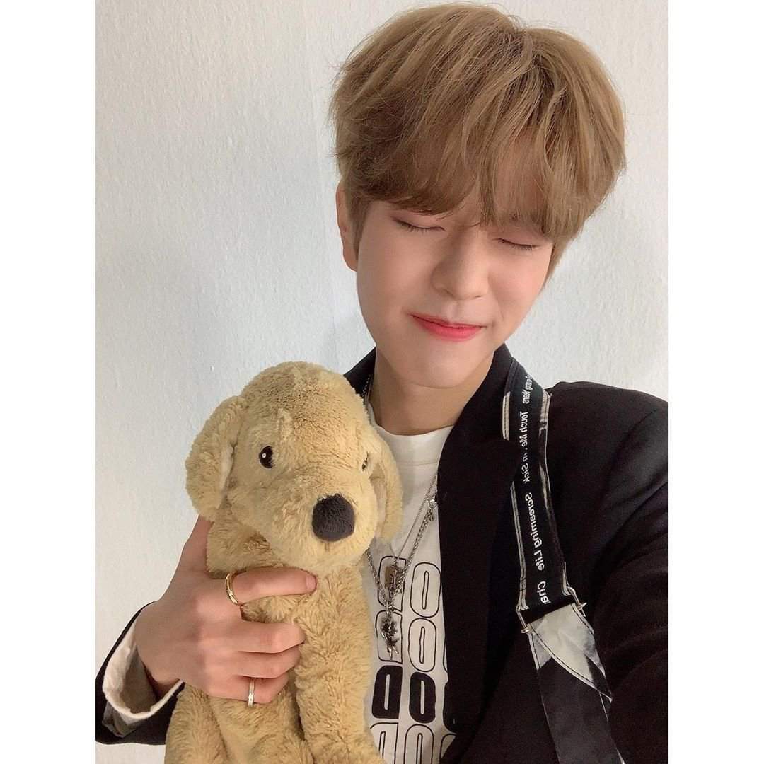 seungmin puppy plush