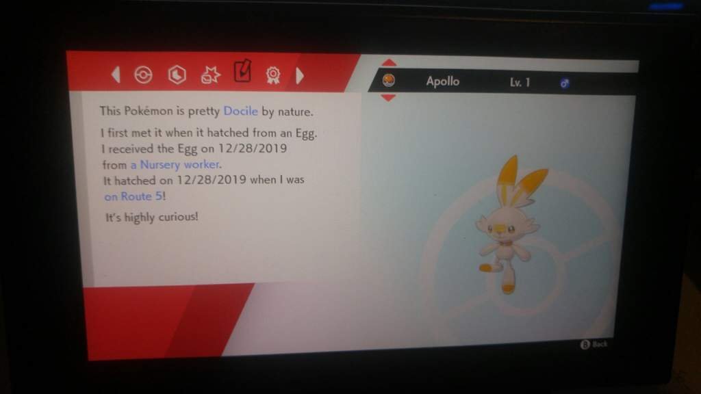 My First Shiny In Pokemon Sword!!! Pokémon Amino