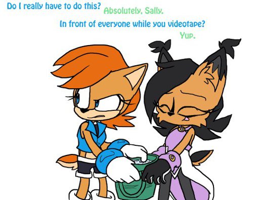 Nicole The Lynx Wiki Sonic The Hedgehog Amino