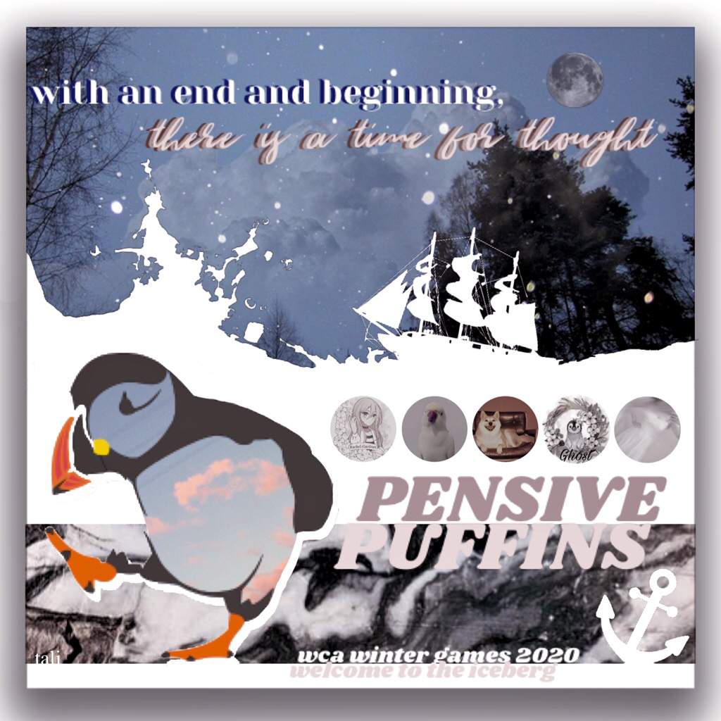 ♥ pensive puffins ♥ Writers' Club Amino