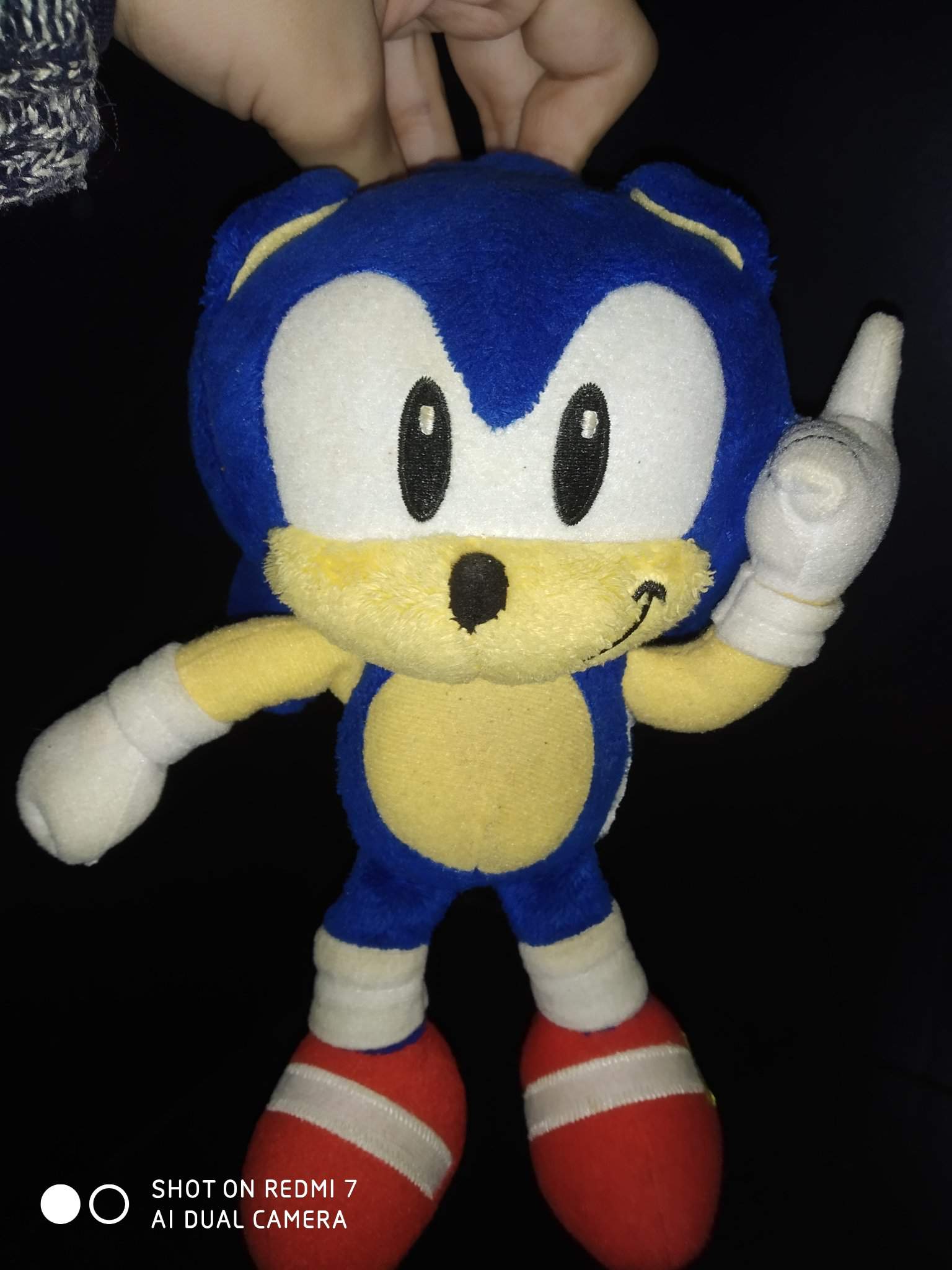 sonic plush the cookie