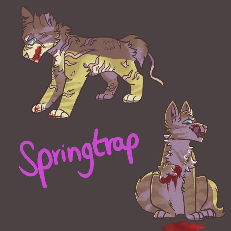 Warrior Cats AU | Five Nights At Freddy's Amino