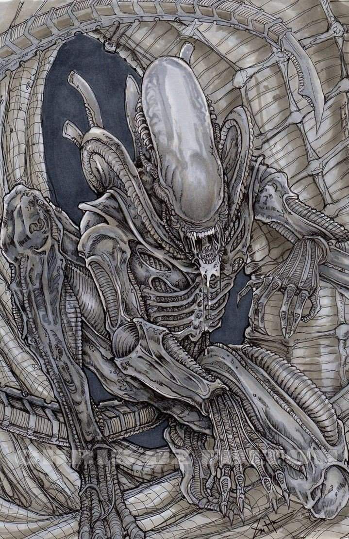 Xenomorfo Drone Wiki Universo Lien Amino