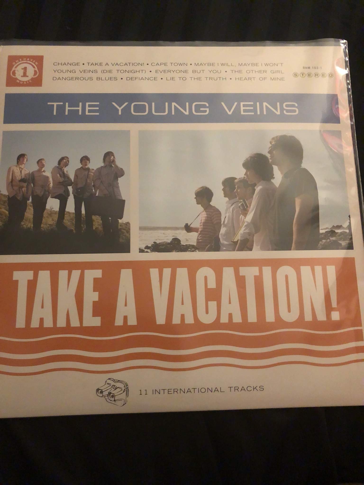 the young veins take a vacation vinyl