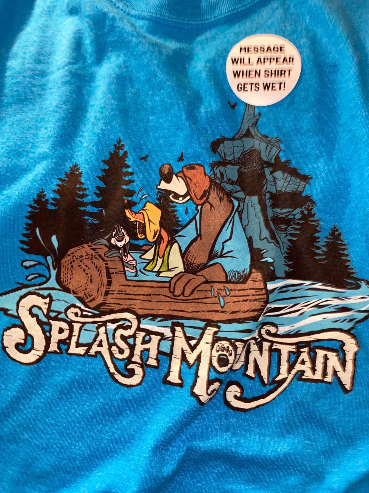 splash mountain t shirt