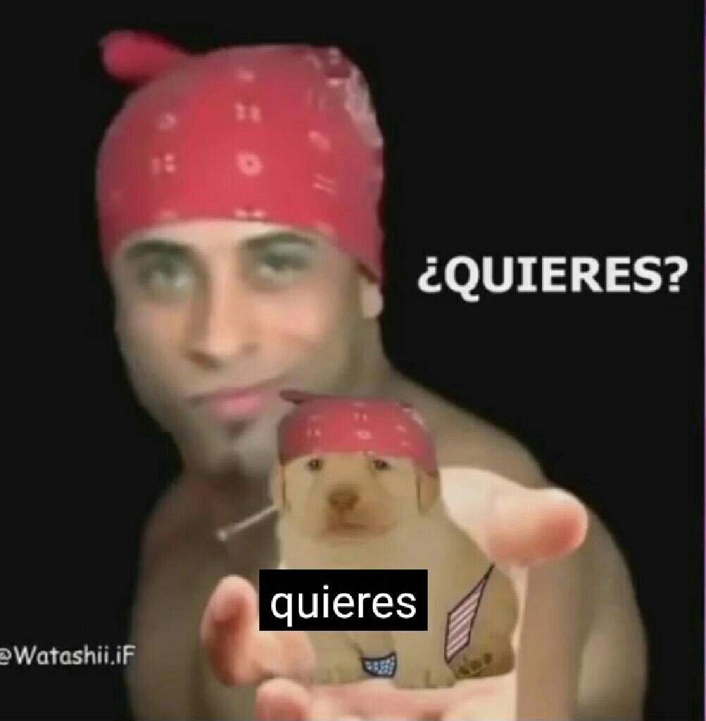 Quieres? Memes Amino • Español Amino Quieres? Memes Amino • Español Amino