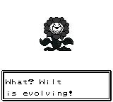 pokemon crystal clear move relearner pokemon crystal clear move relearner