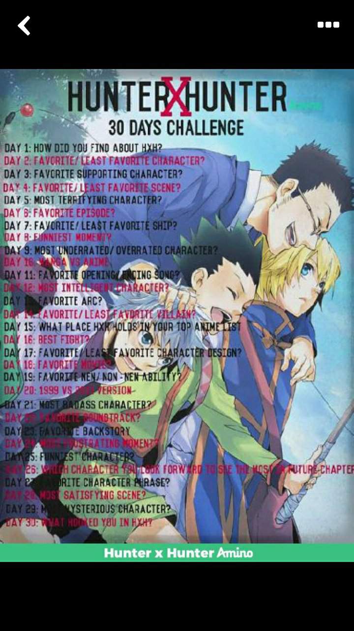 30 Day Challenge Day 1 Hunter X Hunter Amino