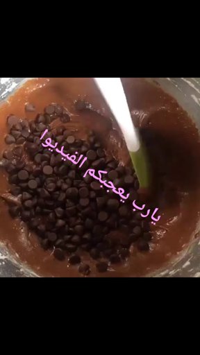 amino-زيزي 💜 ملاحظه بنت-e68a8a70