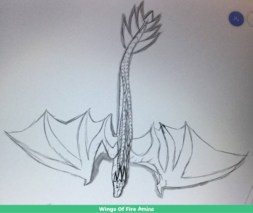 ️frostfright ️ Wiki Wings Of Fire Amino