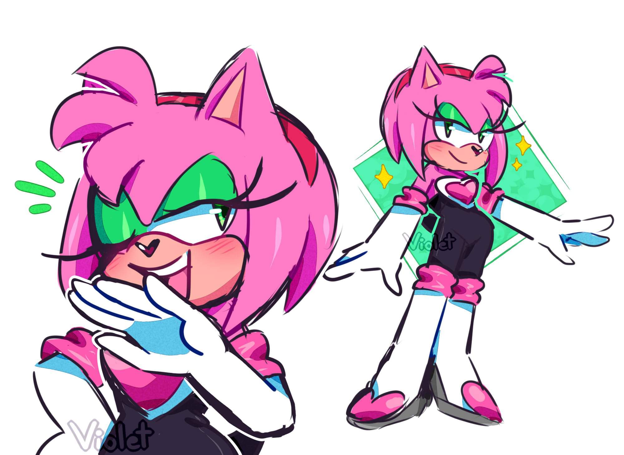 Amy Rouge/Rouge Amy Sonic the Hedgehog! 