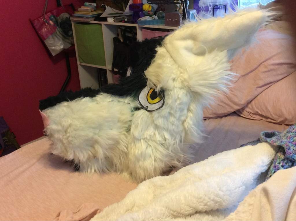 5 years of making fursuits! Furry Amino