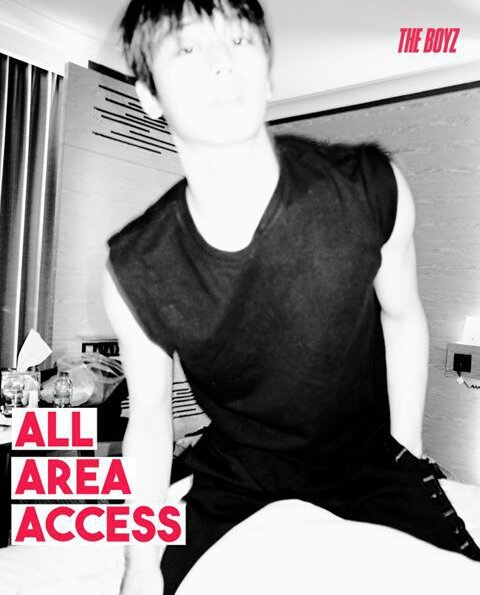 THE BOYZ ドボイズ ALL AREA ACCESS Q トレカ