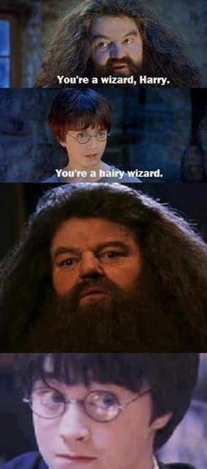 Really Hairy Harry Potter Amino