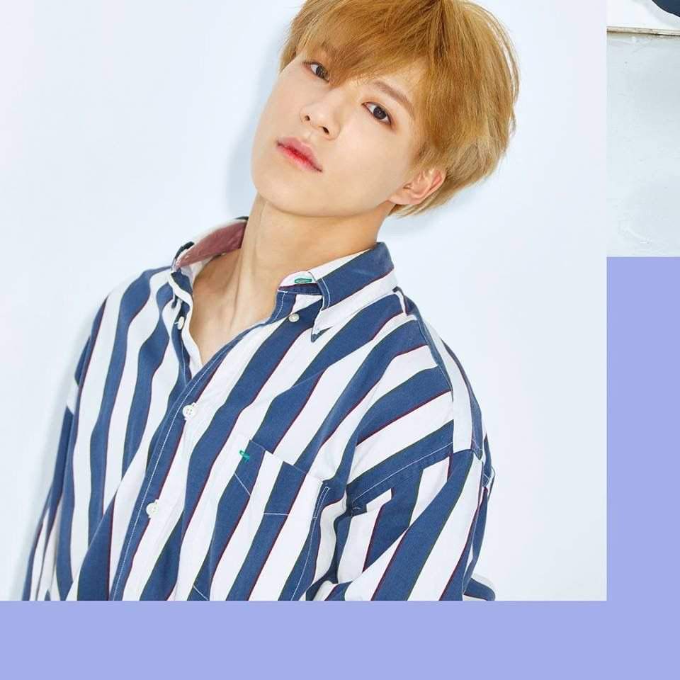 ¿Cuál de estos tiene mejor visual? | 「NCT AMINO」 Amino