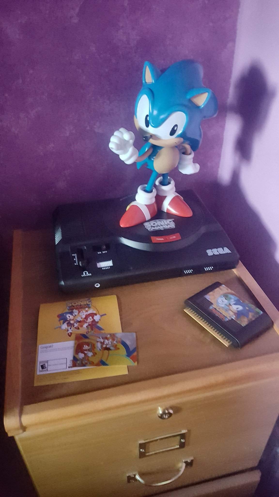 Sonic Mania Collector S Box Sonic The Hedgehog Amino