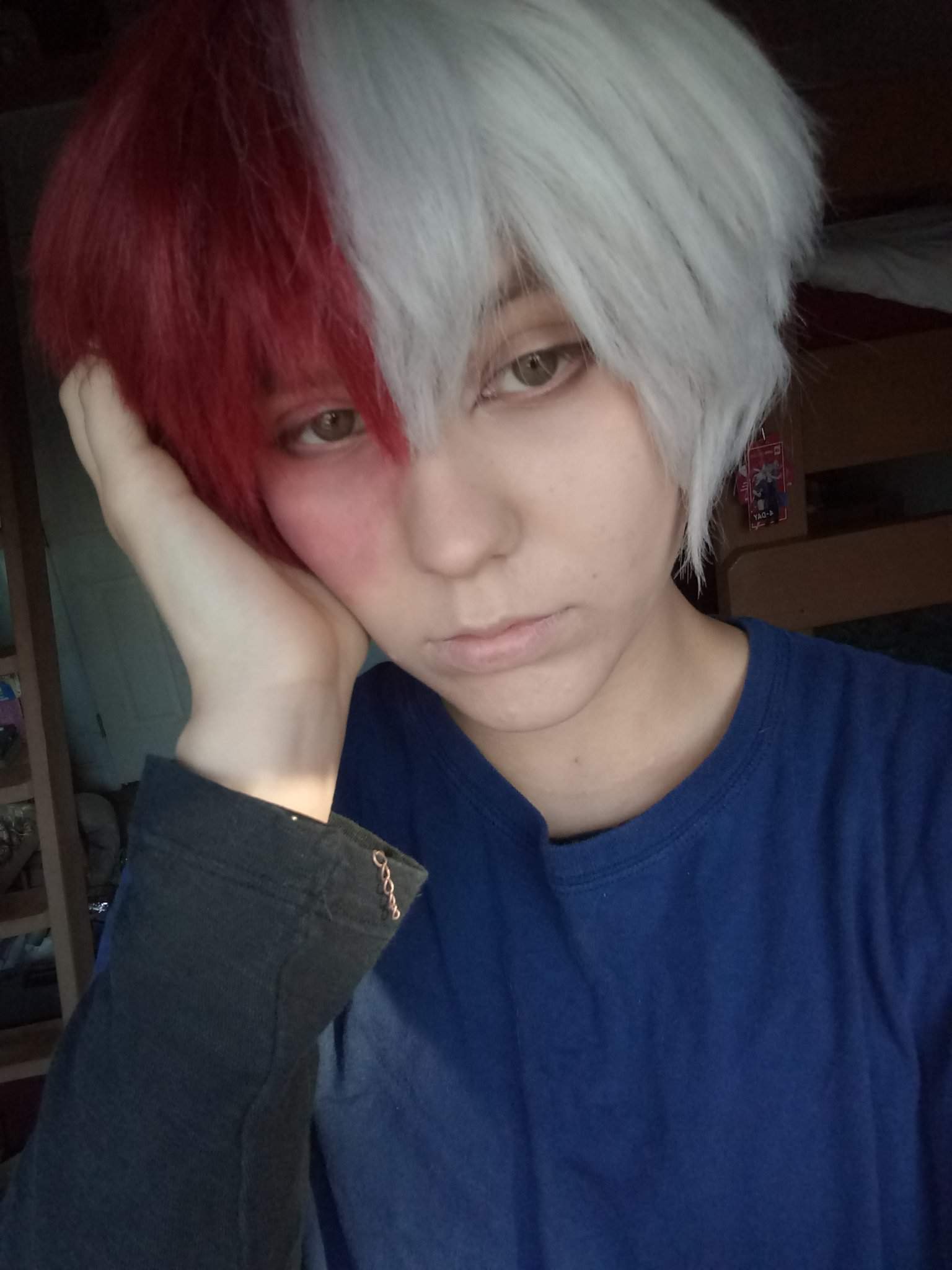 todoroki hero cosplay