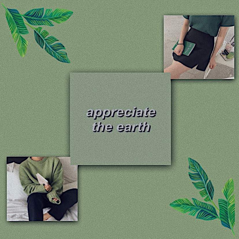 Green Aesthetic~🌿 Símply Aesthetíc Amino 1023