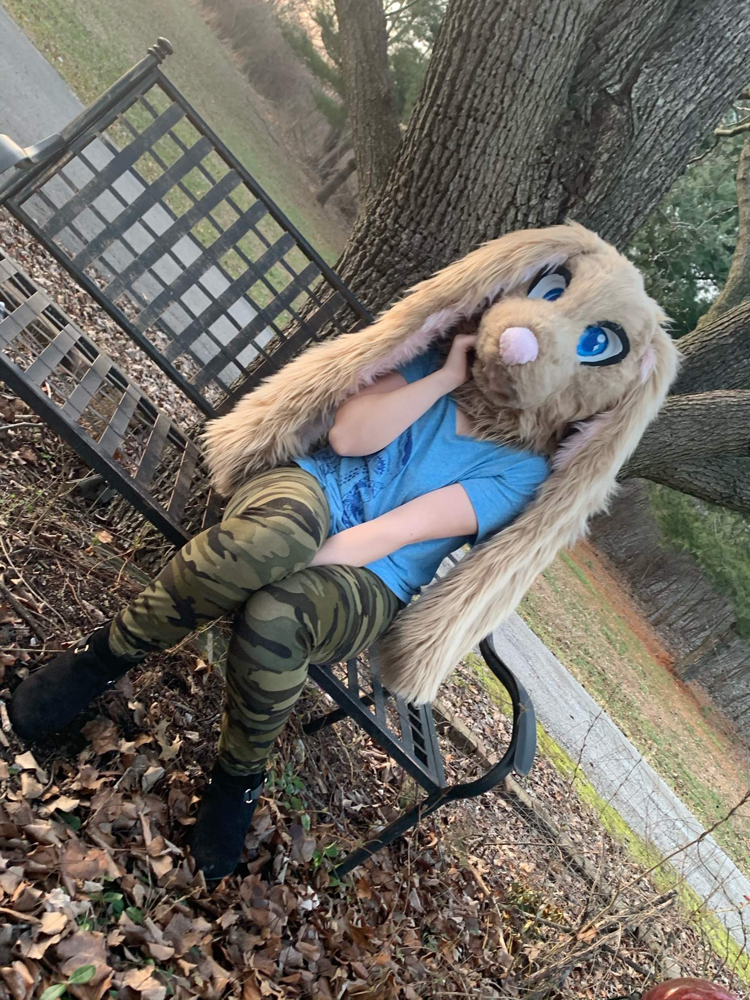 Photo Shoot Furry Amino