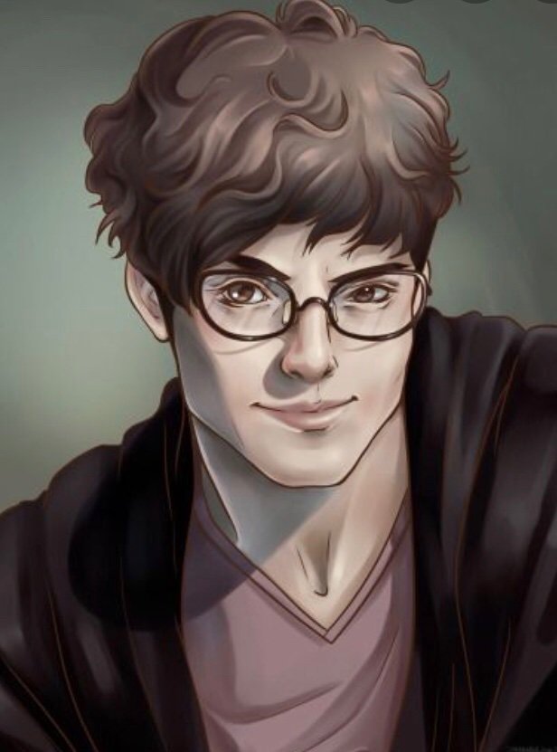 In defence of James Potter Harry Potter Amino