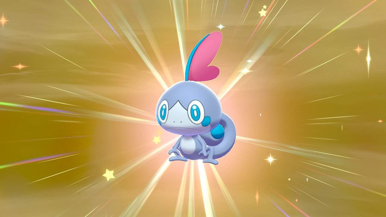 A shiny Sobble in 1 day?! 