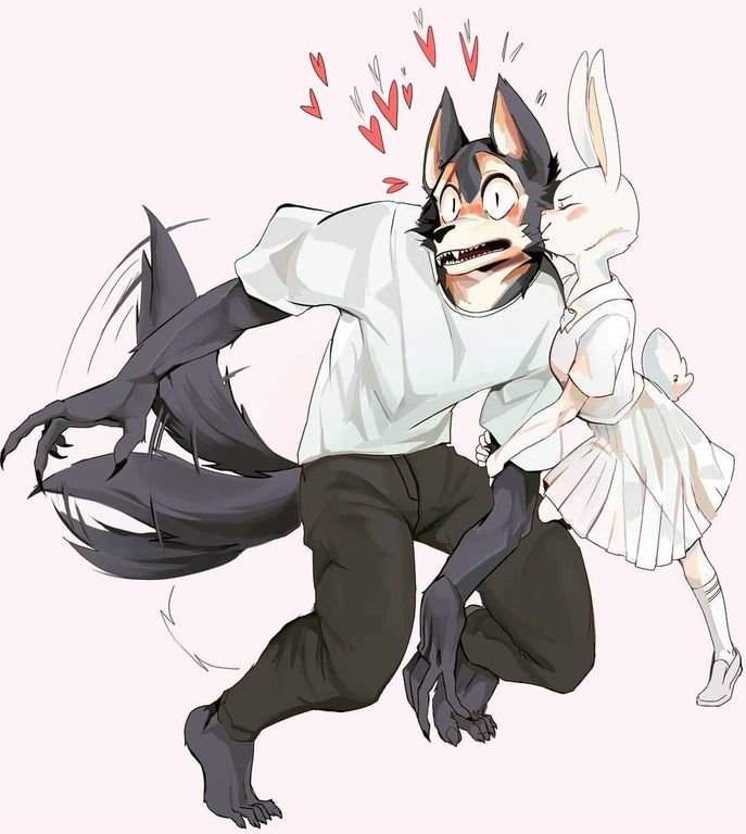 Legosi X Haru | Anime Amino