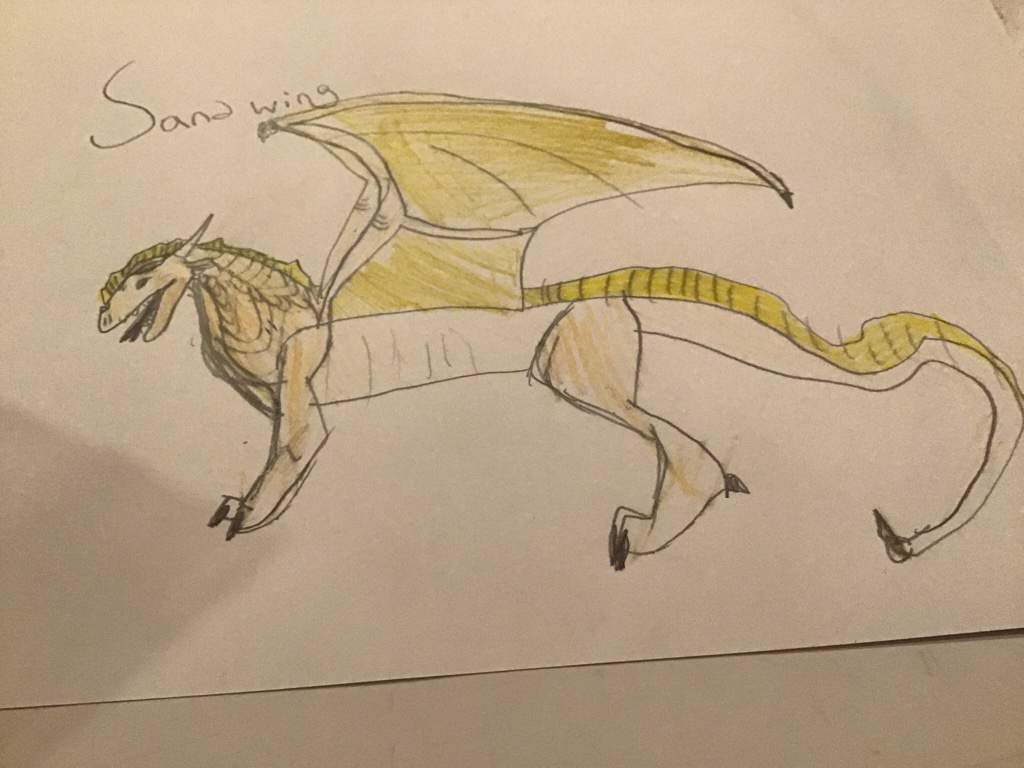 Sandwing Wings Of Fire Amino